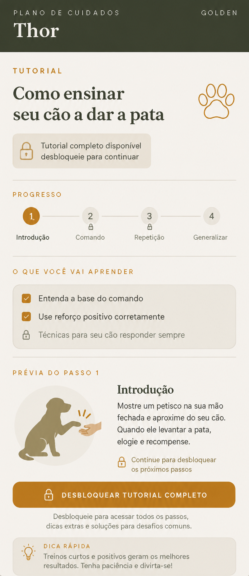 Plano de cuidados do Thor - perfil
