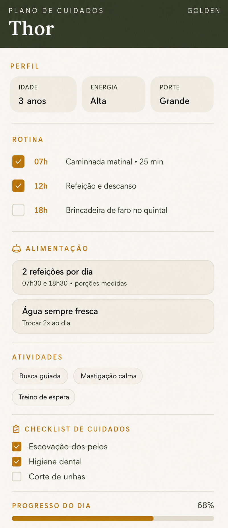 Plano de cuidados do Thor - tutorial